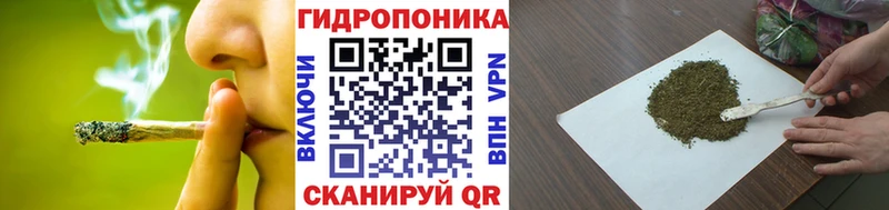 Бошки Шишки планчик  Купить  Большой Камень 